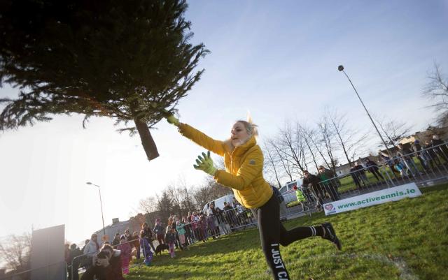 Throwing Shade: The Hilarious Saga of the Tree-Tossing Lawsuit