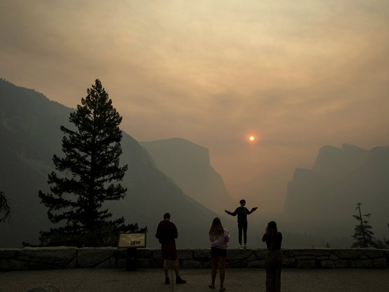 Parks and Pollution: A Comedy of Dirty Air