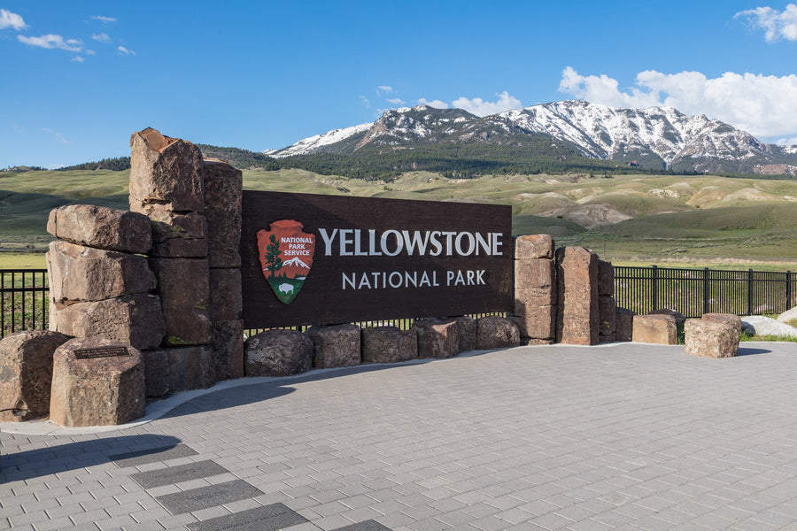 Yellowstone Shooting: How NOT To Visit National Parks