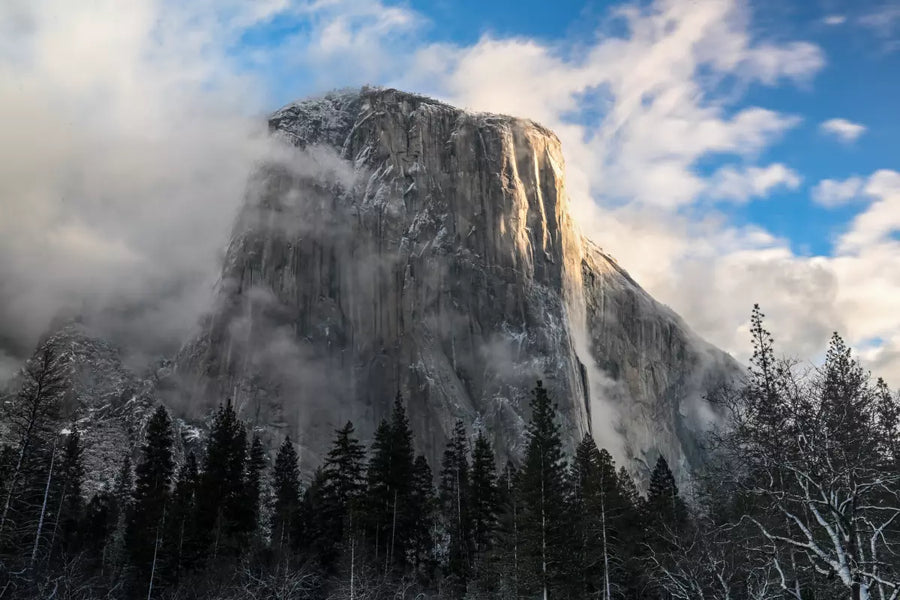 Snowmaggedon: Yosemite's Winter Wonderland